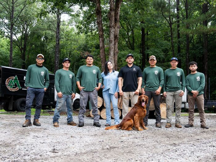 The Wilson Tree Care crew -- a family-run team