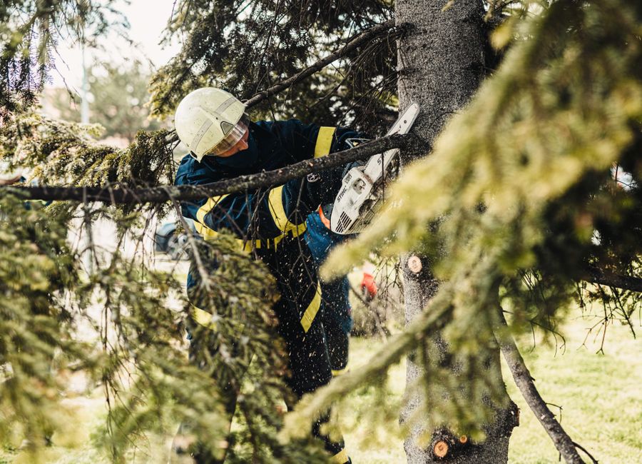 Crew clearing storm-downed branches